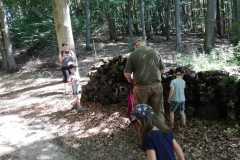 IMG-20200729-WA0005